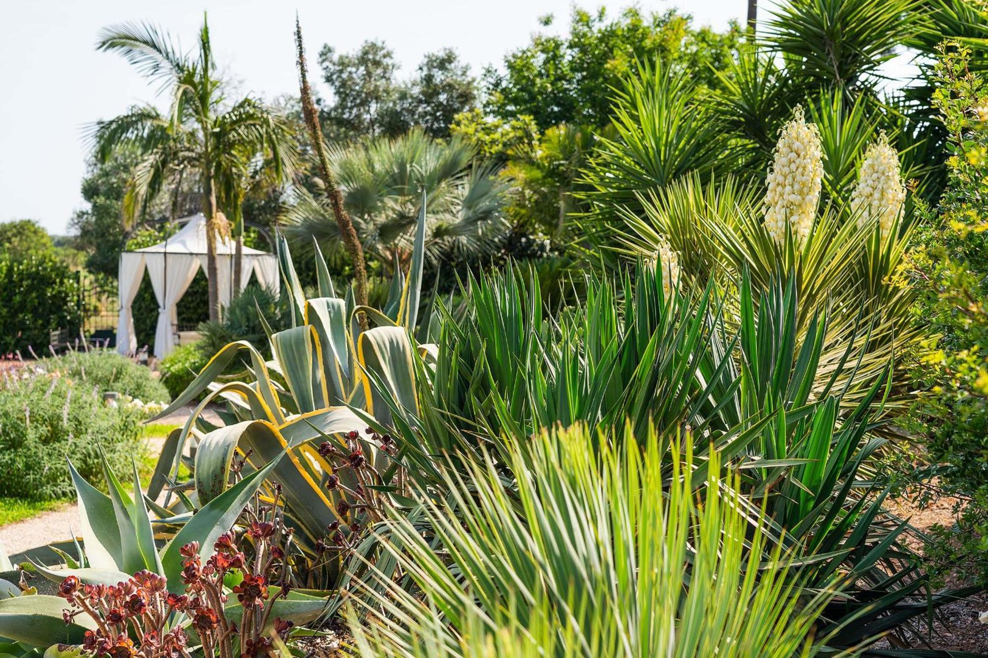 Donna Coraly Country Boutique Hotel Arenella  Buitenkant foto